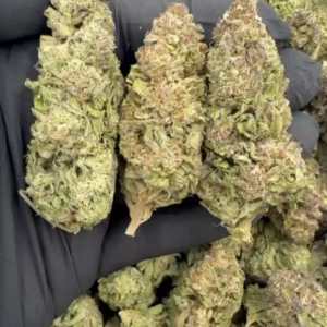 Gushmintz Mixed Lights