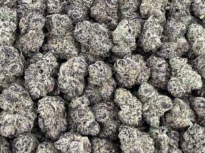 S23 NEW Cheetah Piss Smalls