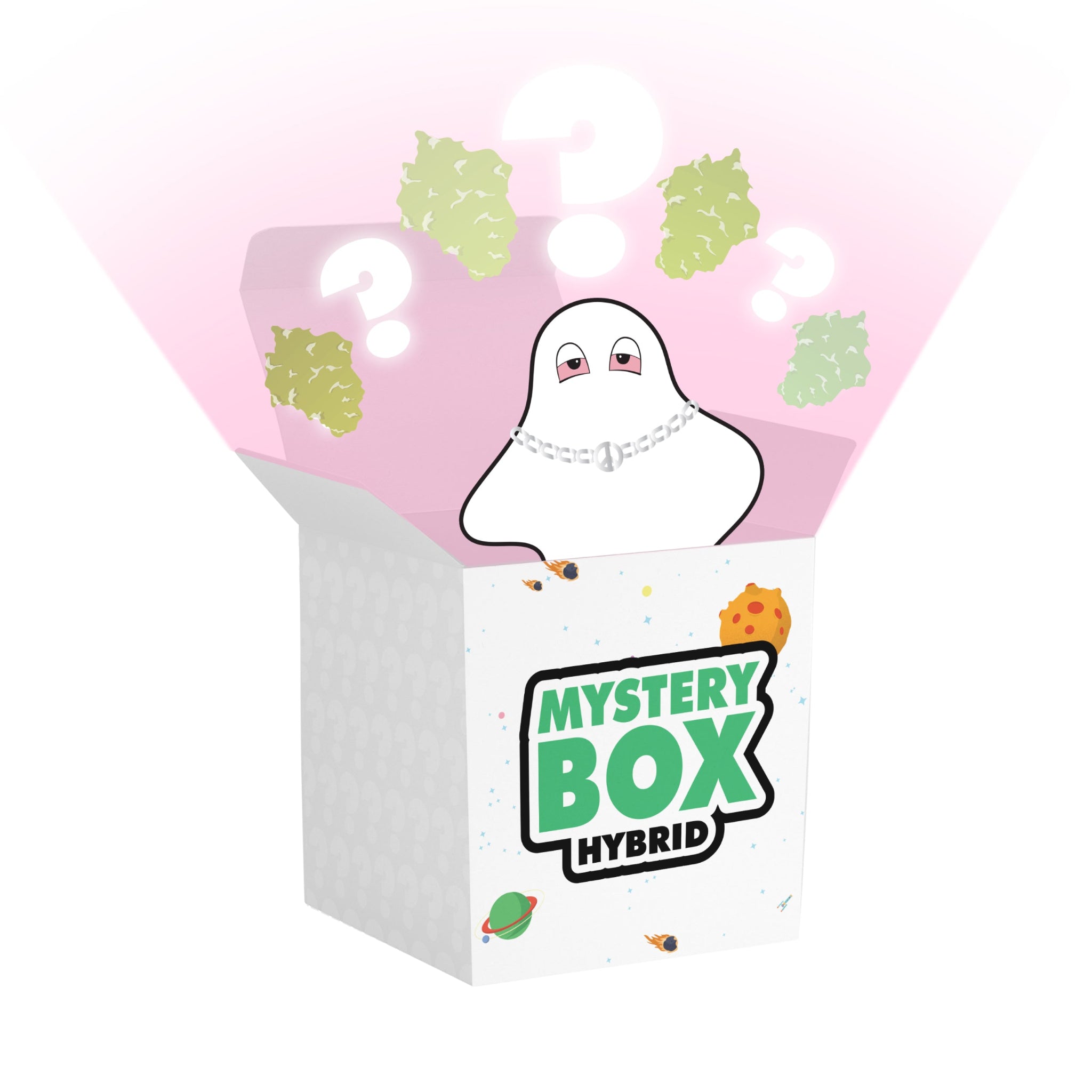 Hybrid E420 Mystery Box