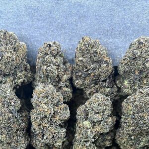 FROSTED MOCHI GELATO