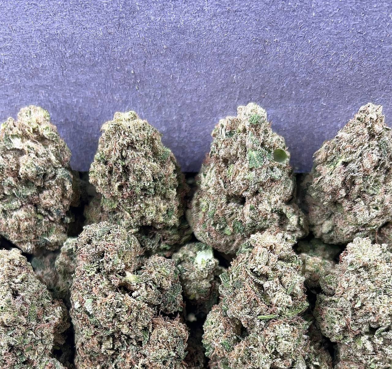 LEMON CHERRY(SLIGHTLY SEED)