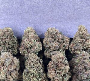 RUNTZ FLOAT(SLIGHTLY SEED)