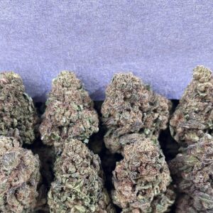 RUNTZ FLOAT(SLIGHTLY SEED)